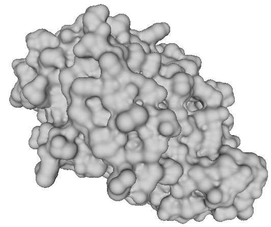 Skin Surface