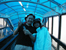 hOTeL GenTIng