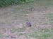 DSCN3468