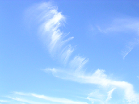 DSCN5984