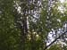 DSCN5977