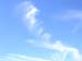 DSCN5984