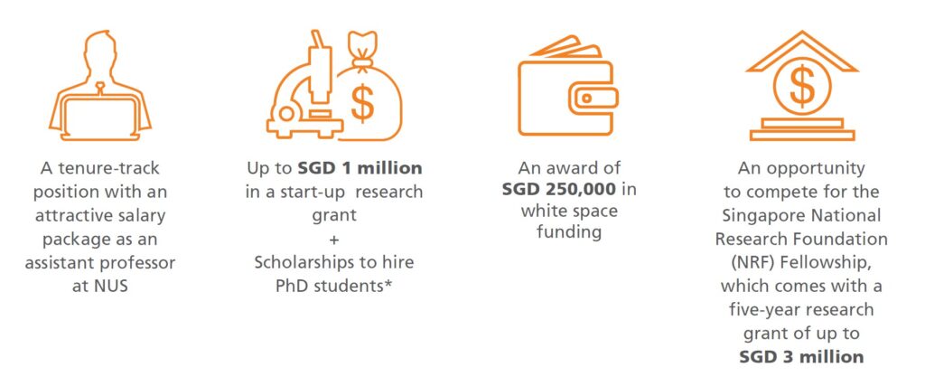 NUS Presidential Young Professorship