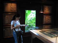 IMG_2581