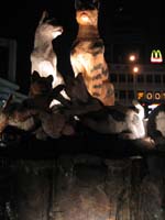 IMG_3050
