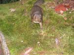 IMG_1051