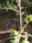 IMG_2423