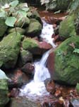 IMG_2651