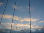 IMG_3311