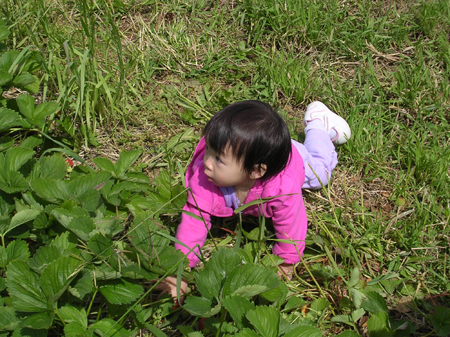 DSCN7449