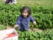 DSCN7438