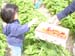 DSCN7459