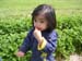 DSCN7491