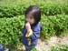 DSCN7492