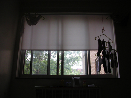 DSCN3485