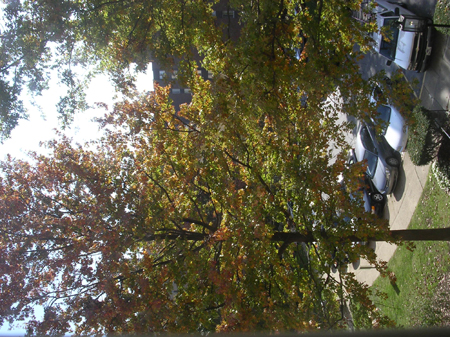 DSCN4324