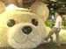 DSCN2872