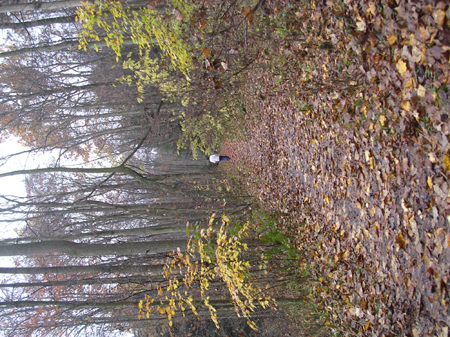 DSCN4377