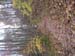 DSCN4377