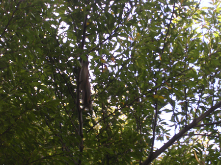 DSCN5977