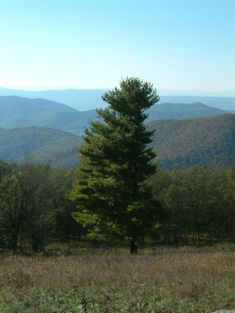 DSCF0038