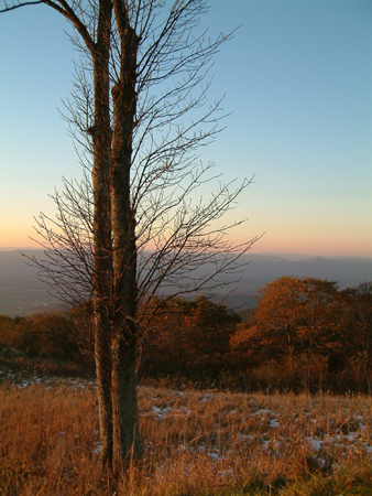 DSCF0051