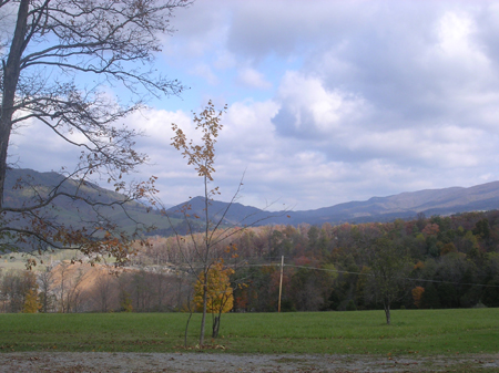 DSCN6026