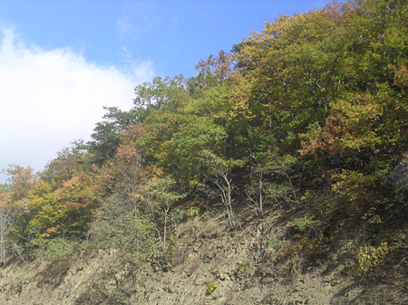 DSCN6043