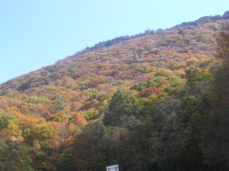 DSCN6048