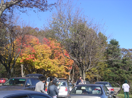 DSCN6061