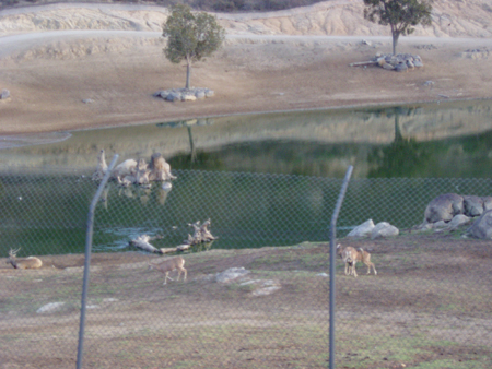 P1010083