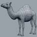 animal_camel_4