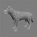 animal_col1_2