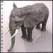 animal_elephant_2