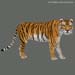 animal_tiger_2