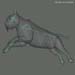 animal_tiger_3
