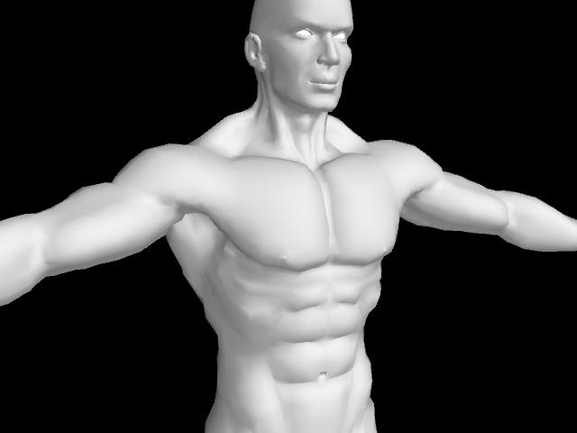 anatomyModerateMan_298217_2