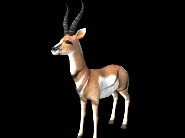 animalAntelope_374667_1
