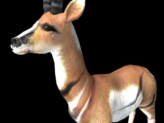 animalAntelope_374667_2