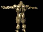 anatomyMassiveMan_226990_2