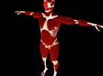 anatomy_cgHuman_241280_1