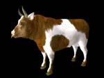 animalBull_430123_1