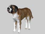 animalDog_421846_1