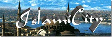 citylogo4.jpg (13500 bytes)