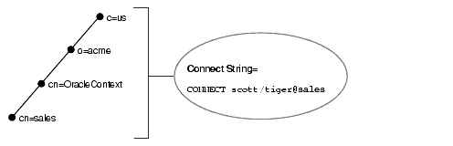 Description of net81051.gif follows