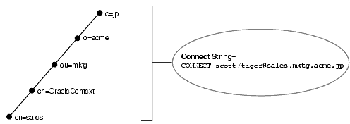 Description of net81054.gif follows