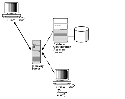 Description of net81062.gif follows