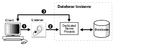 Description of net81096.gif follows