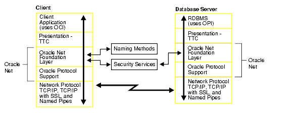 Description of net81099.gif follows