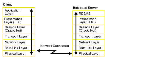 Description of net81100.gif follows